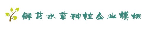 九游体育 (中国)官方网站 - 9 SPORTS